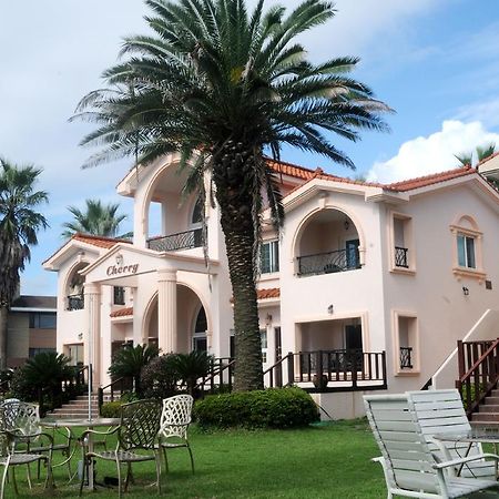 Cherry House Σεογκουίπο Εξωτερικό φωτογραφία