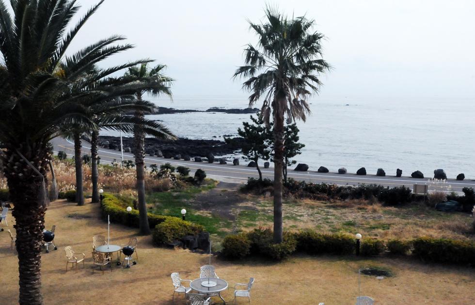 Cherry House Σεογκουίπο Εξωτερικό φωτογραφία